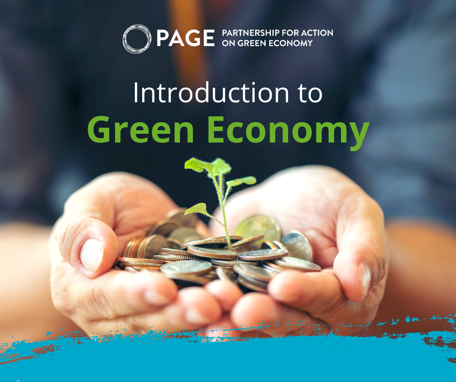 Introduction to Inclusive Green Economy