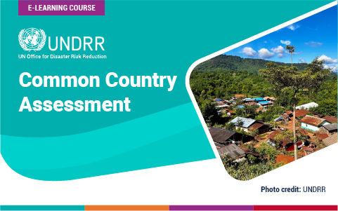 Common Country Assessment