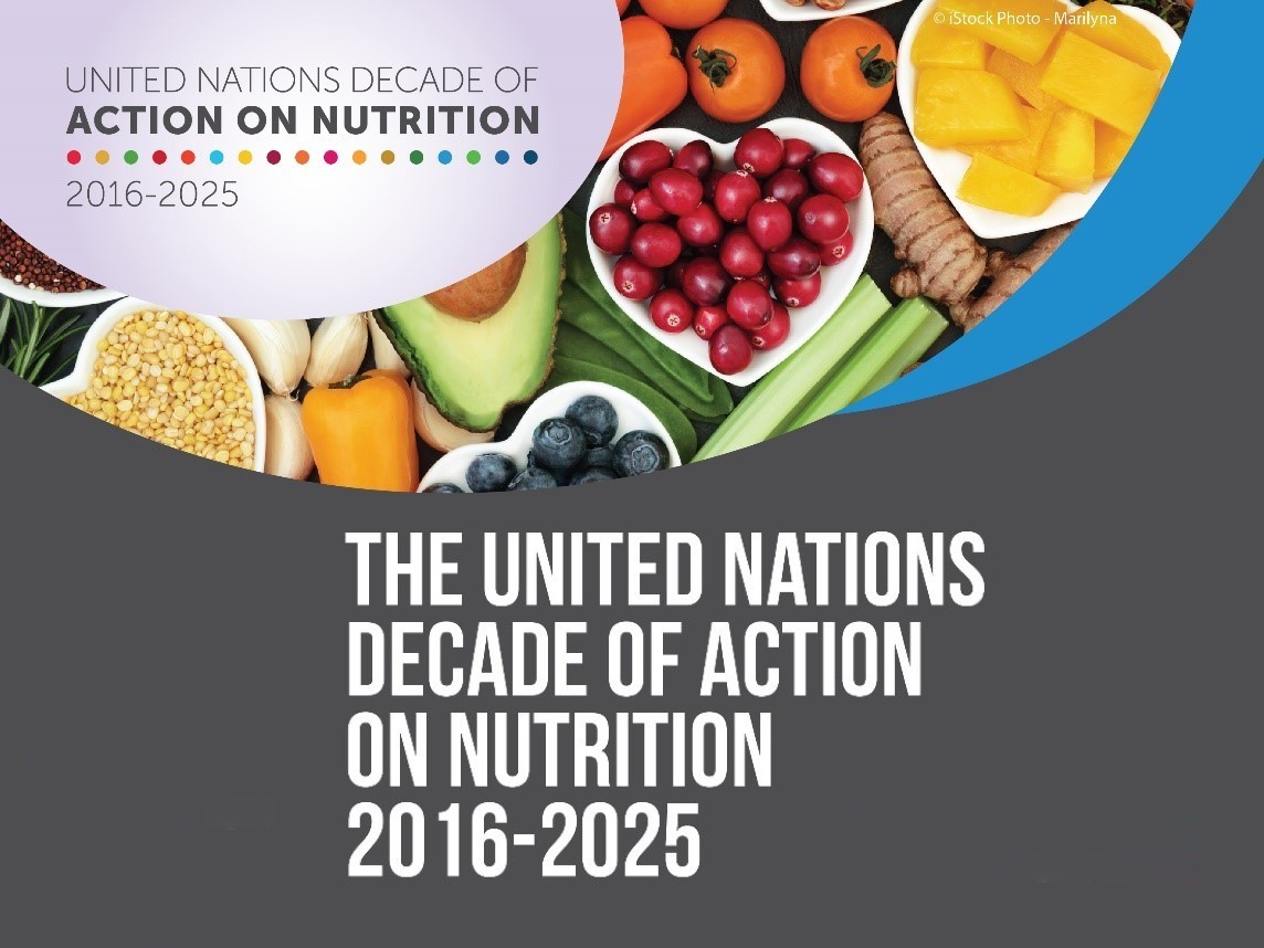 The United Nations Decade of Action on Nutrition (2016-2025)