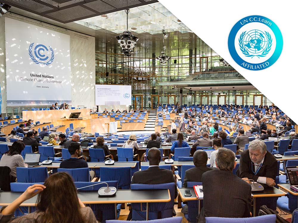 A Participant Guide of the UN Climate Change Process