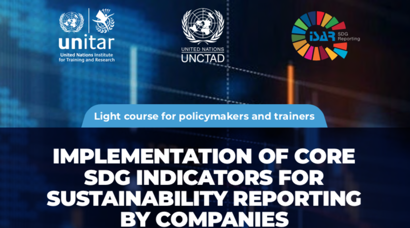 IMPLEMENTATION OF CORE SDG INDICATORS FOR SUSTAINABILITY REPORTING BY…