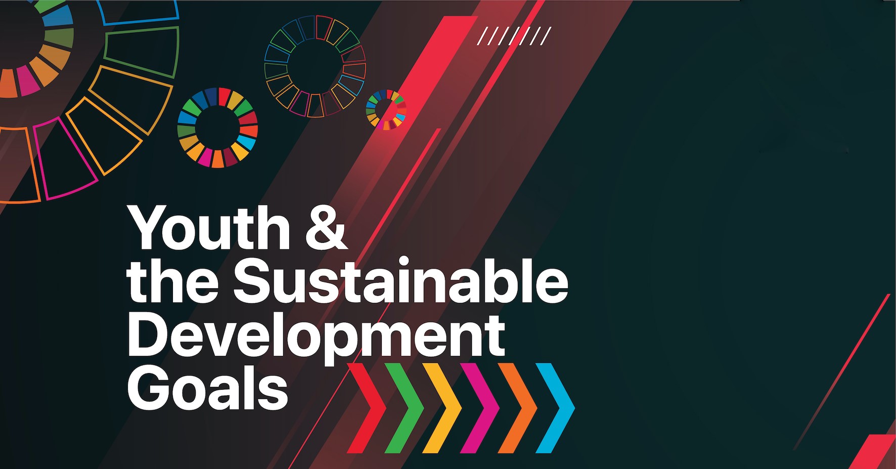 Youth & the Sustainable Development Goals