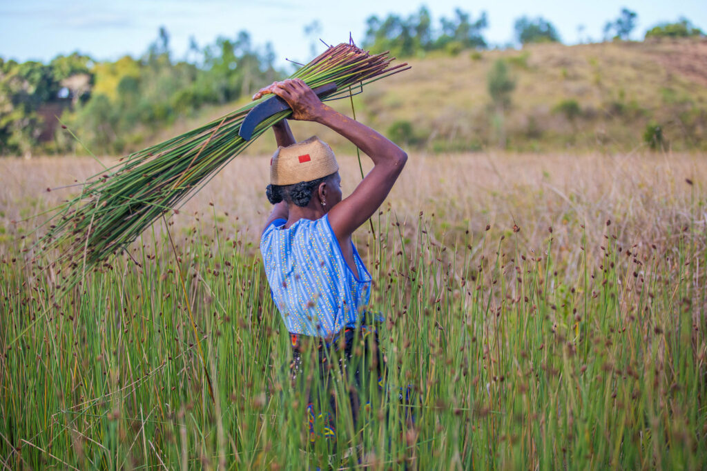 Building Climate Resilience through Ecosystem-based Adaptation Planning