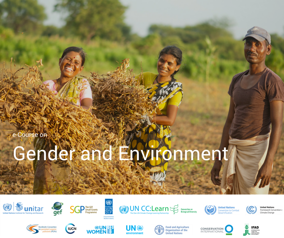 Open Online Course on Gender and Environment