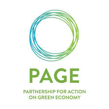 Capacity building for integration of Inclusive Green Economy principles in…