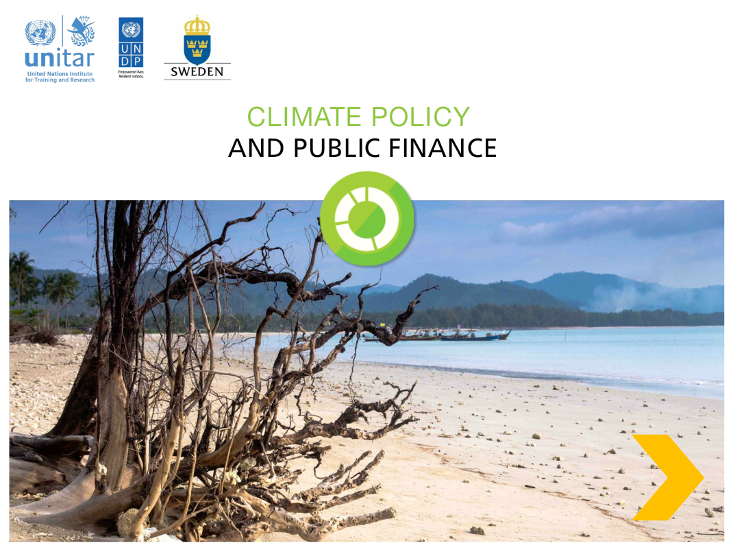 Climate Policy and Public Finance