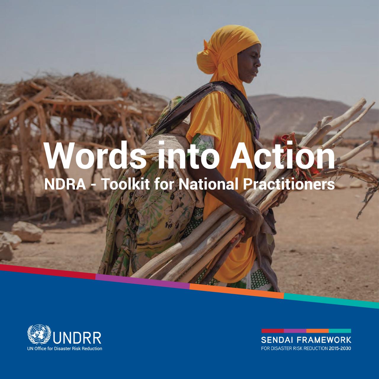 Words into Action: National Disaster Risk Assessment - Toolkit for National Practitioners