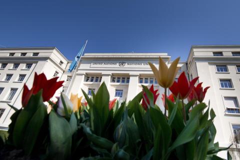 Open Day: UNITAR Programmes in Diplomacy and International Law