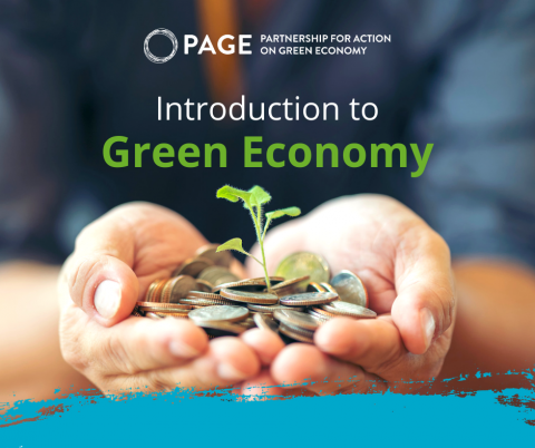 Introduction To Inclusive Green Economy | UNITAR