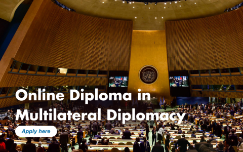 Online Diploma in Multilateral Diplomacy 2025 - Edition 2