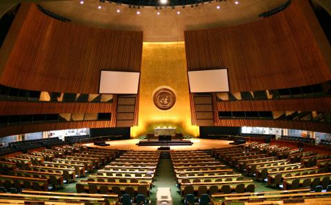 2025 Workshop on the Relationship between the UNGA and UNSC