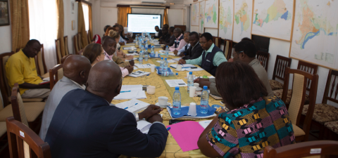 Programme review for HIV, Hepatitis and STIs
