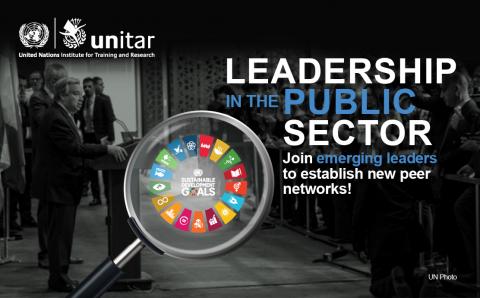 Leadership in the Public Sector (2021)