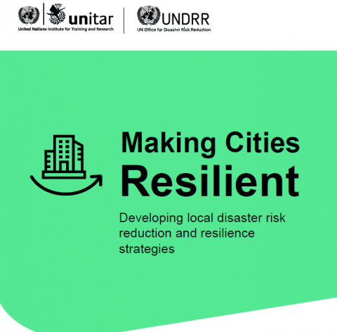 Making Cities Resilient: Developing Local Disaster Risk Reduction and Resilience Strategies