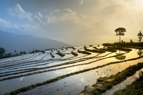 Human Rights and Environmental Protection